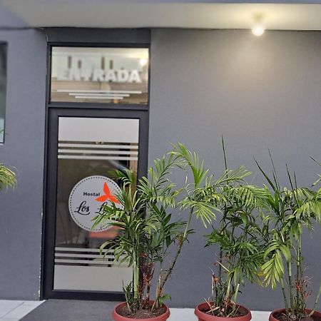 Hostal Los Lirios 로하 외부 사진